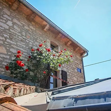 4 Murri روفينجسكو سيلو